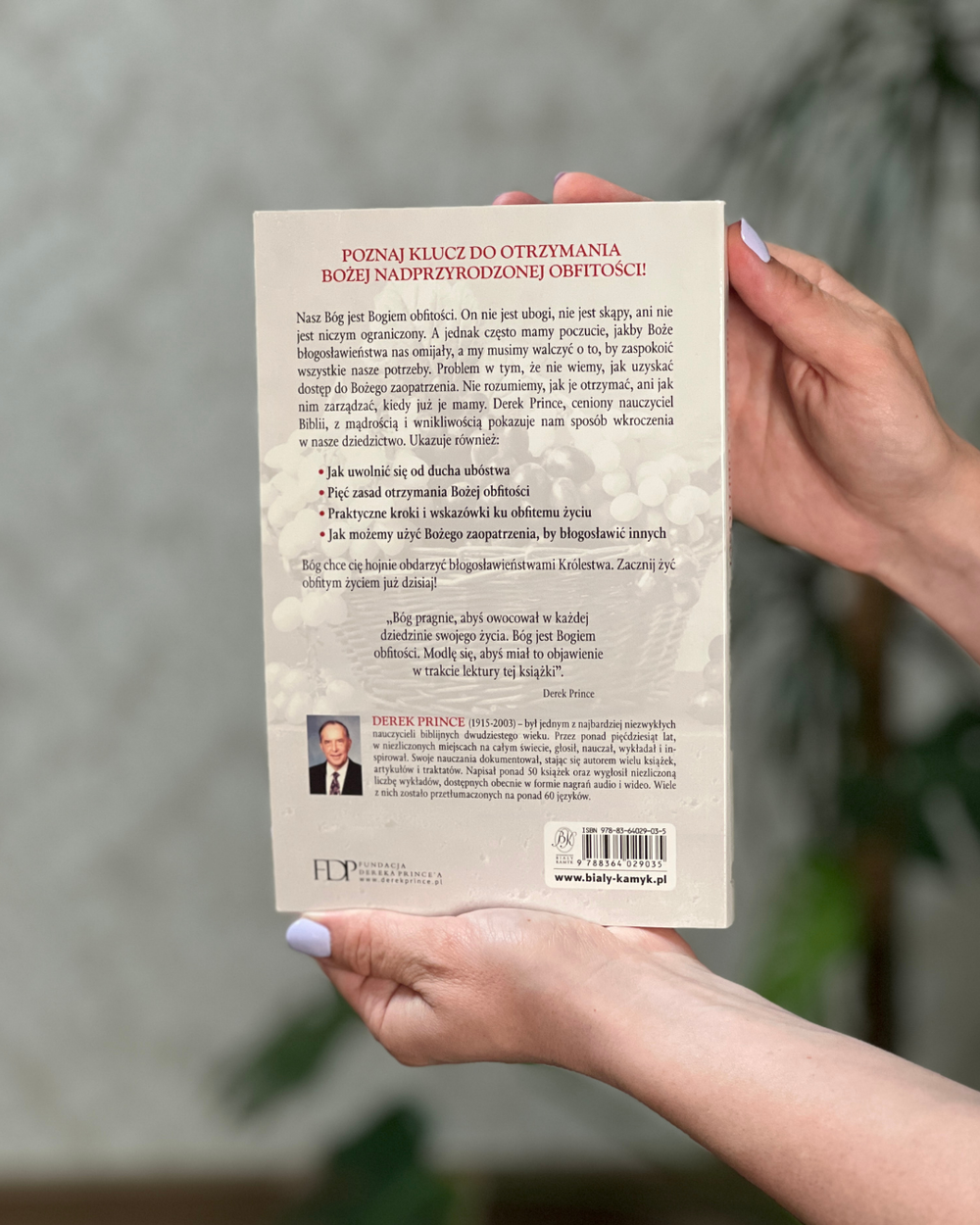 Obietnica obfitości | Derek Prince